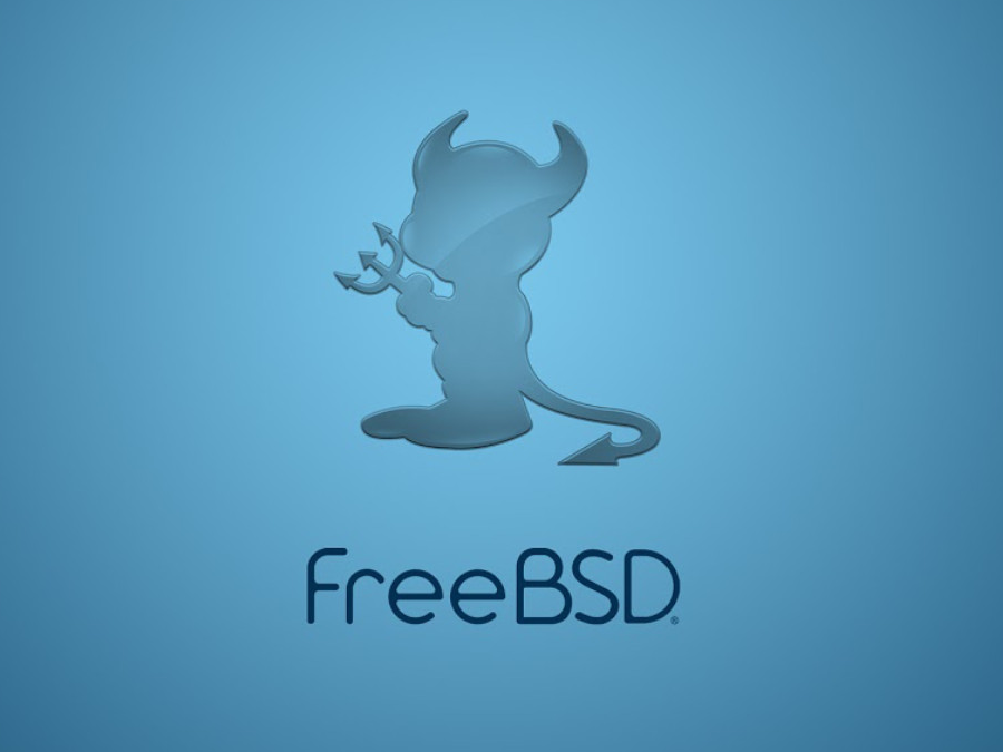 Administrar FreeBSD a una LAN o WAN darrere d'un tallafocs