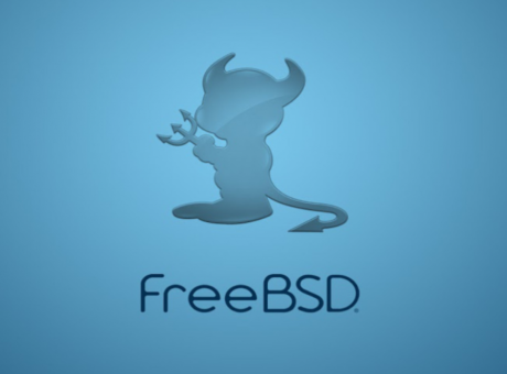 Muntant dispositius USB amb formats NTFS, exFAT i FAT32 a FreeBSD