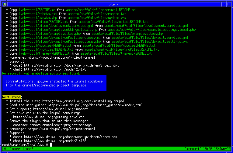drupal 11 i composer a freeBSD