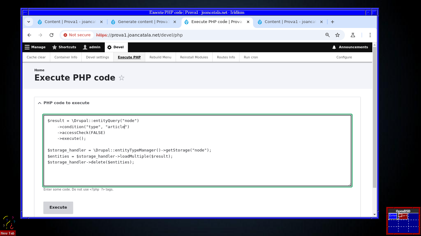 executem un codi PHP a Drupal per a esborrar massivament molts nodes