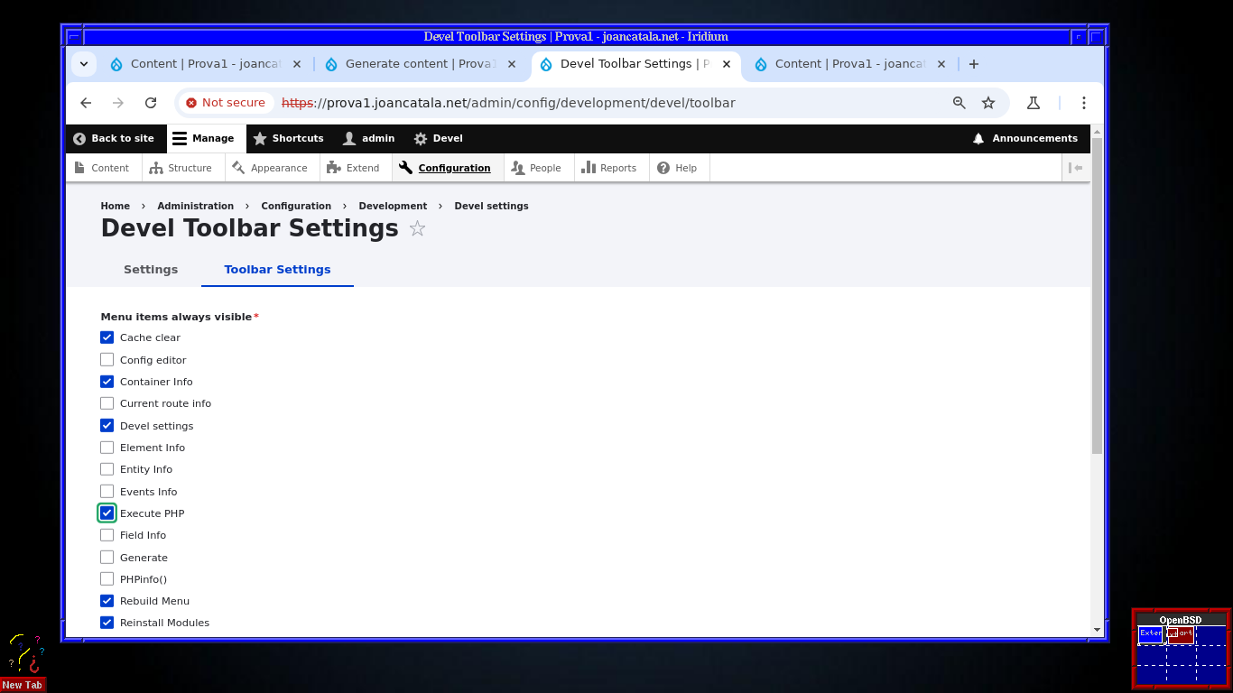 execute PHP a Drupal