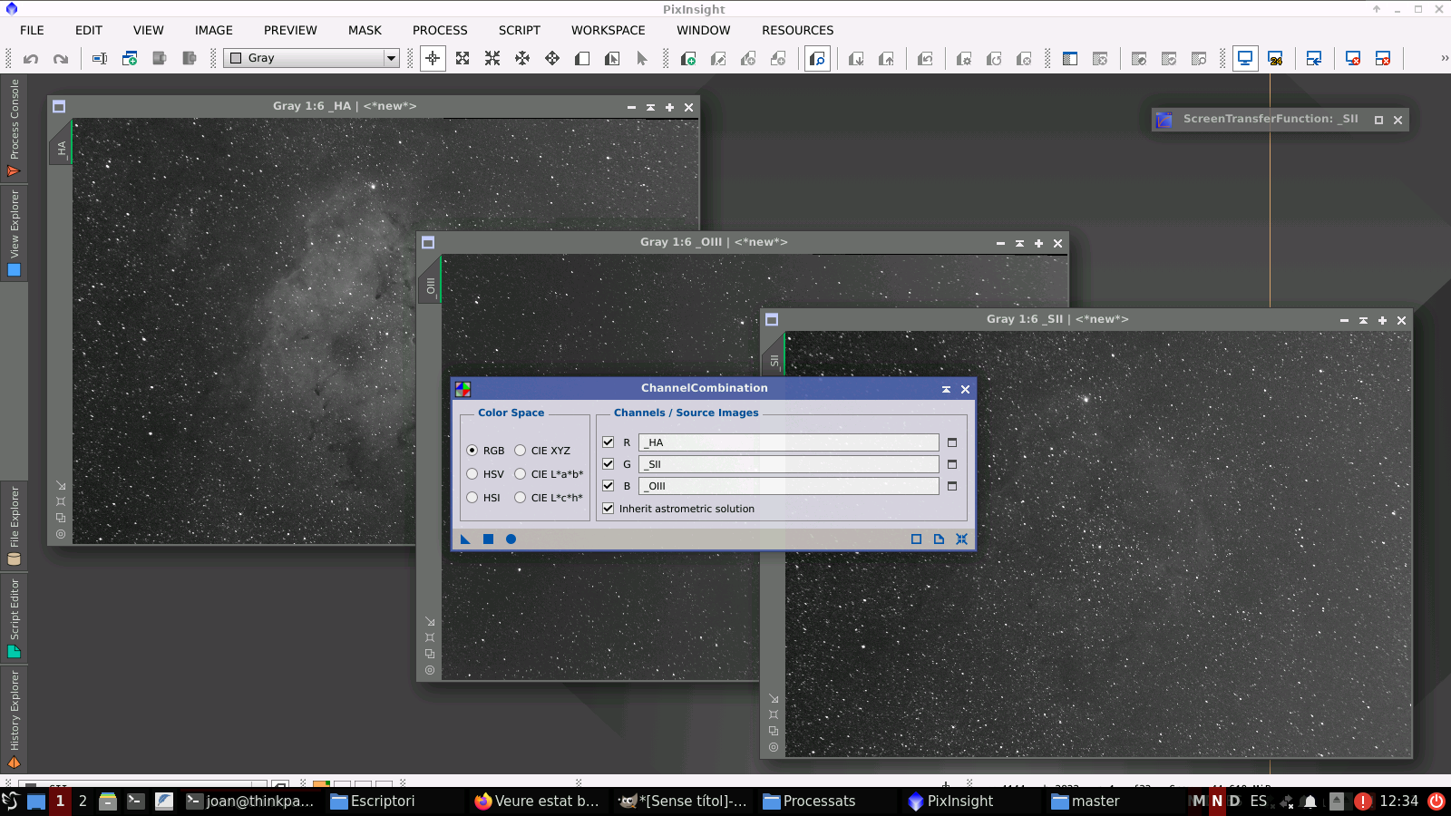 IC1396 HortaSud Astronomia