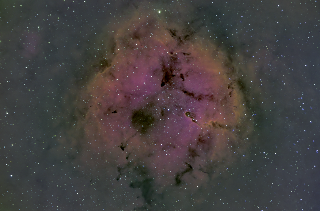 IC1396 HortaSud Astronomia