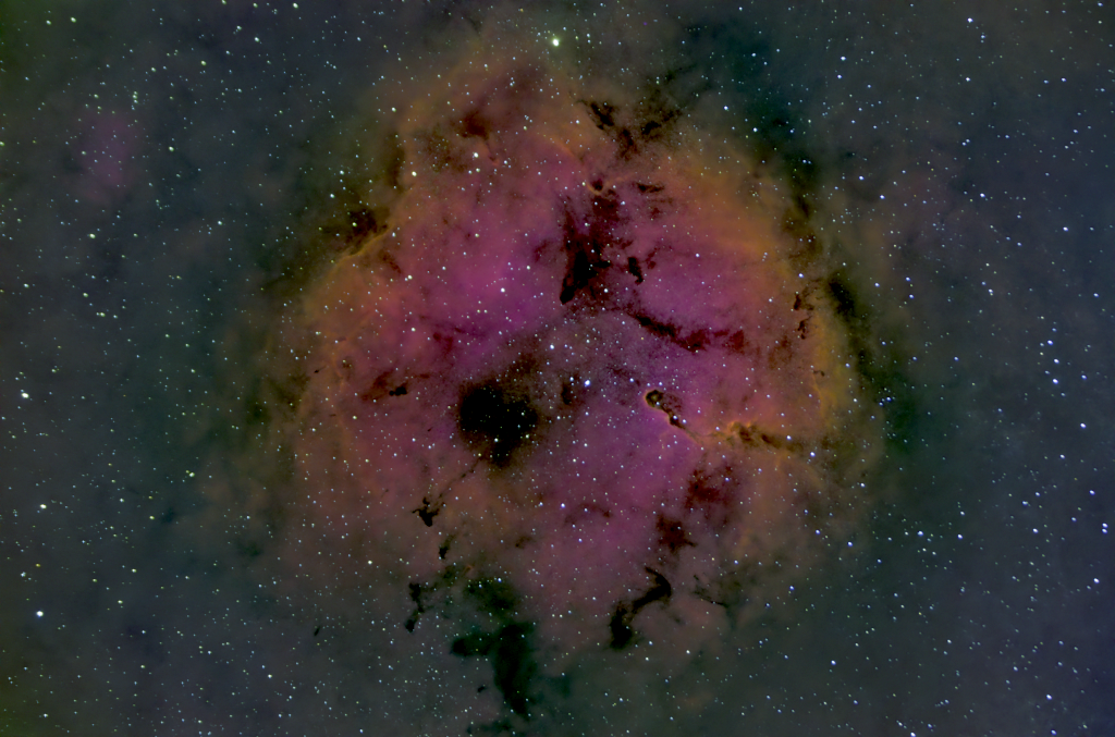IC1396 HortaSud Astronomia
