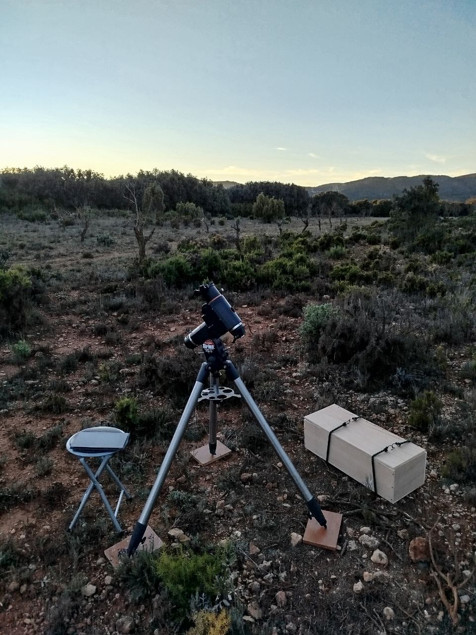 Joan Català Piñón