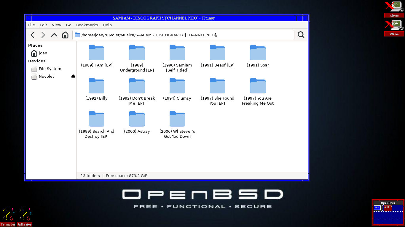 FVWM OpenBSD 7.7