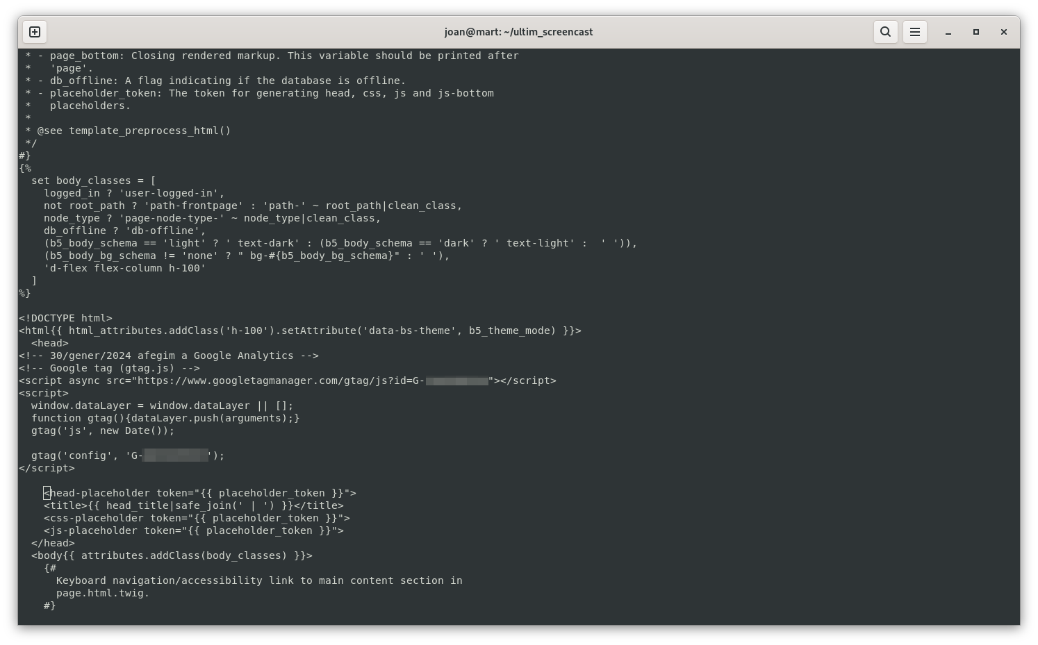 Google Analytics a Drupal 11