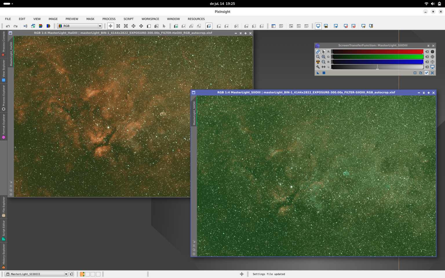 Cygnus en paleta SHO