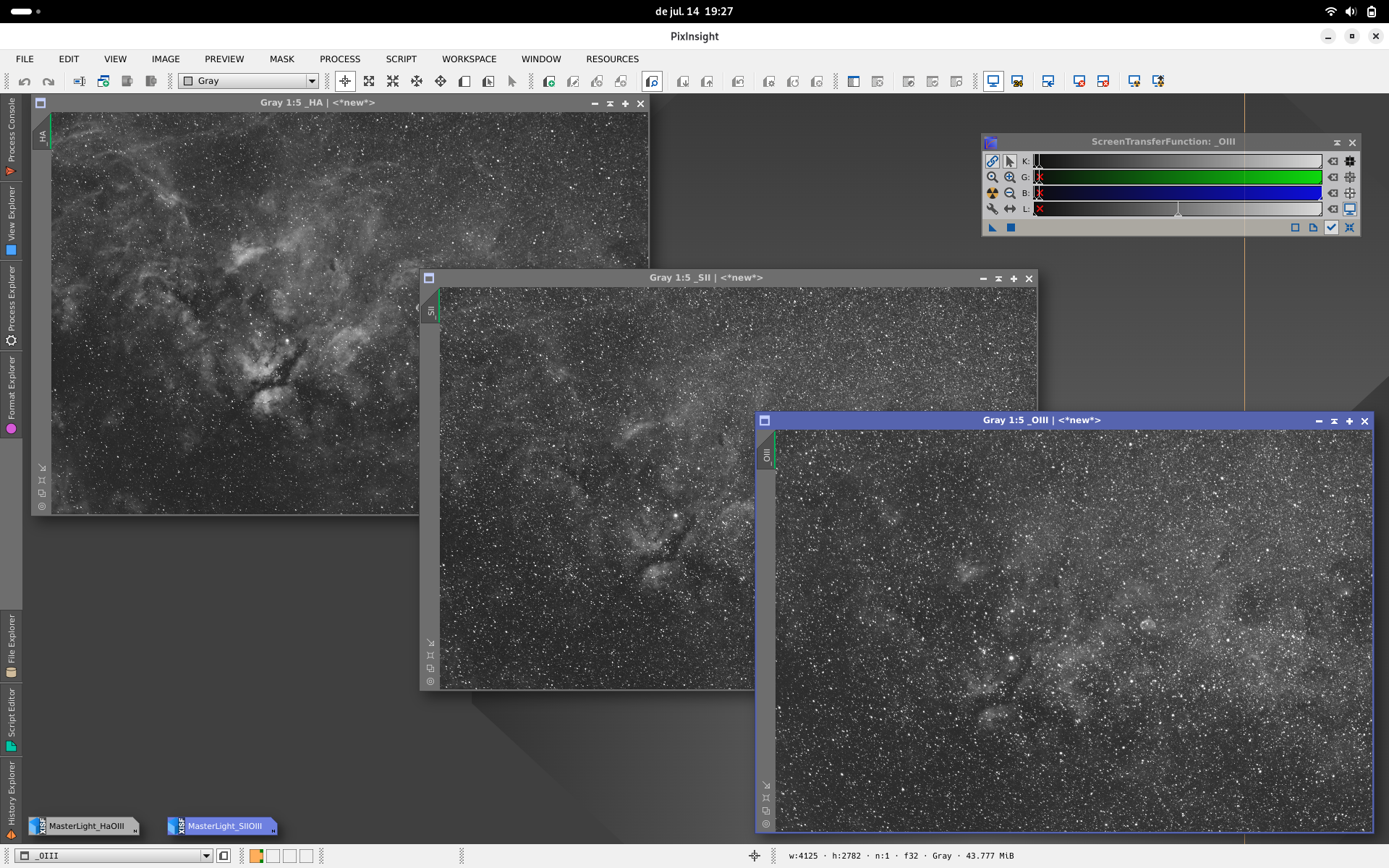 Cygnus en paleta SHO