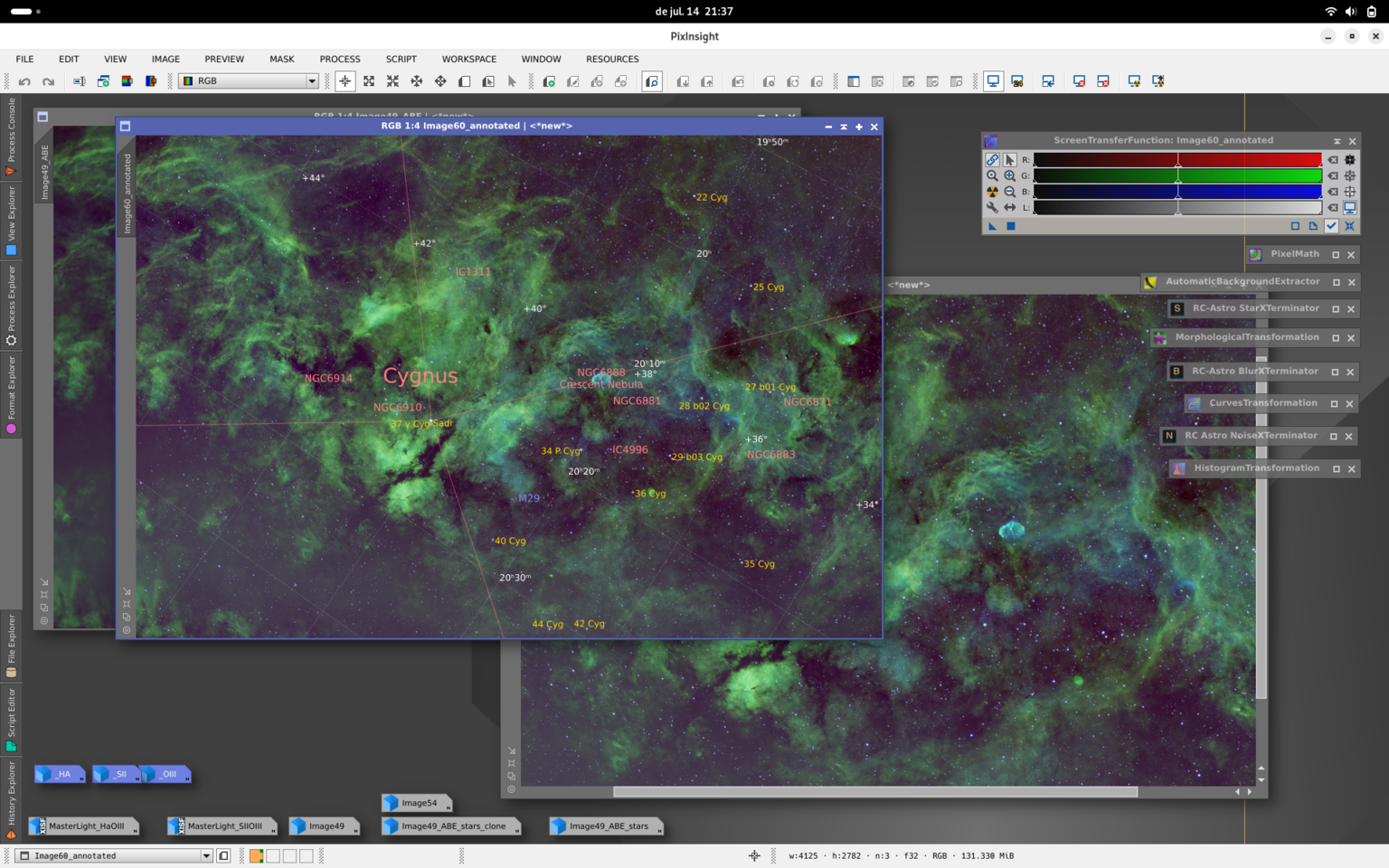 Cygnus en paleta SHO
