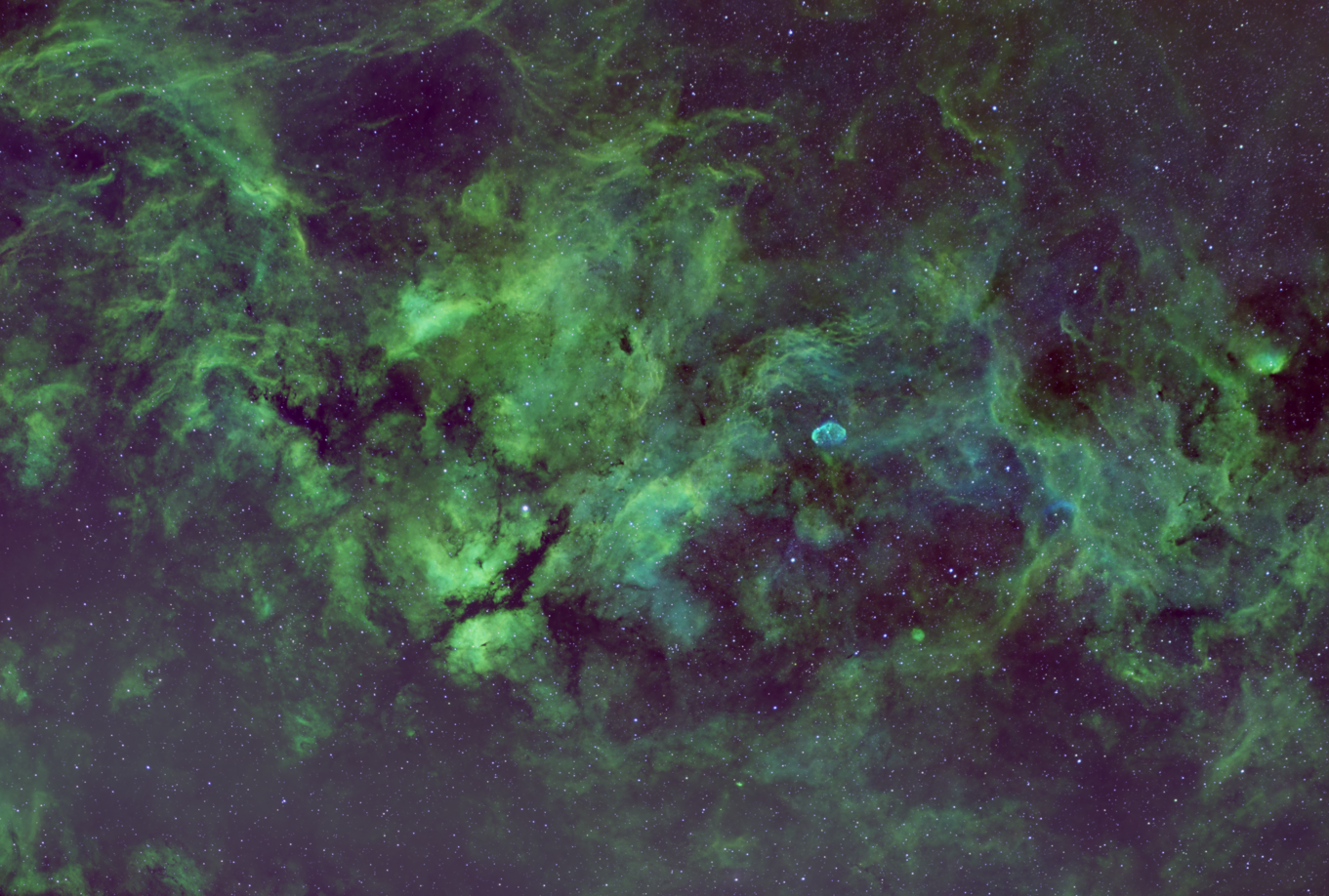 Cygnus en paleta SHO