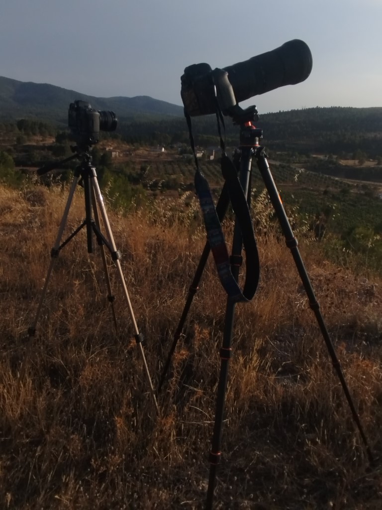 Eclipsi total 2026