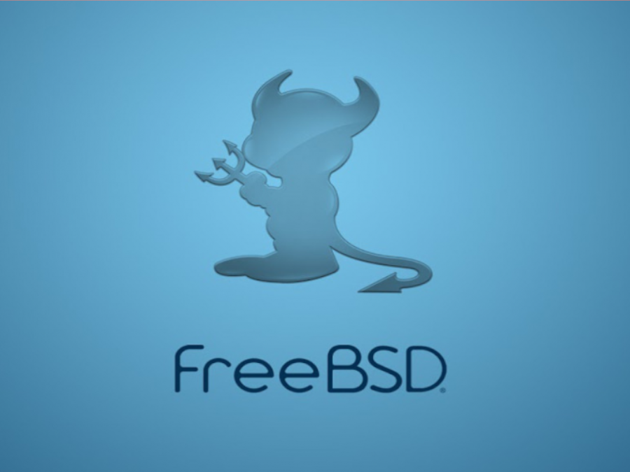 Rsync a dos discs de 4TB a la Raspberry amb FreeBSD