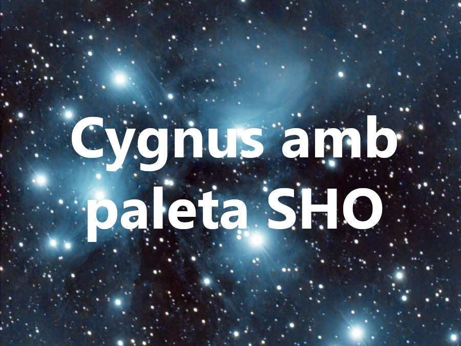 Capturant la zona de l'estrela Sadr en la regió central de Cygnus amb paleta SHO