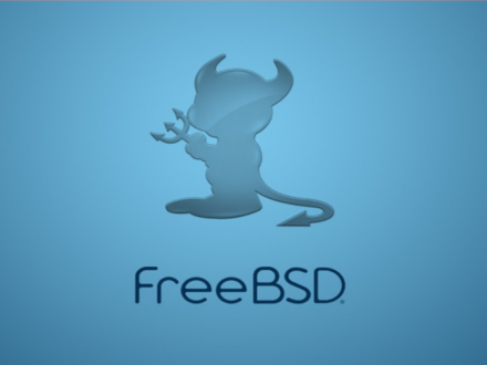 Configurant IPs dinàmiques o estàtiques a FreeBSD 13