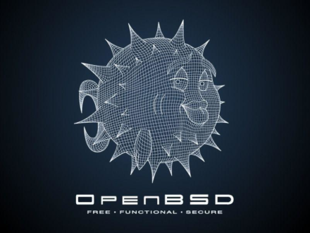 Configurant màquina virtualitzada OpenBSD 7.3 com a servidor de projectes Drupal 10