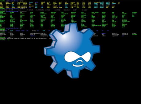 Gestionant projectes Drupal des del terminal sense fer cap click amb Drush