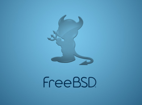 Administrar FreeBSD a una LAN o WAN darrere d'un tallafocs