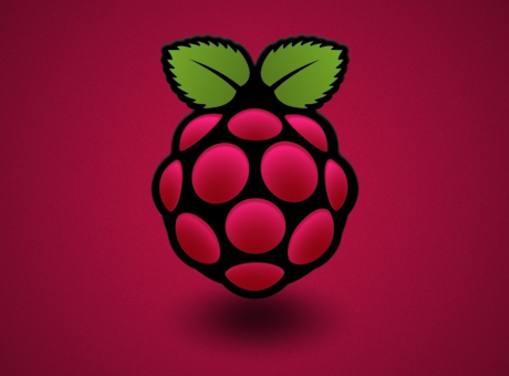 Configurar el DNI Electrònic a la Raspberry Pi Buster