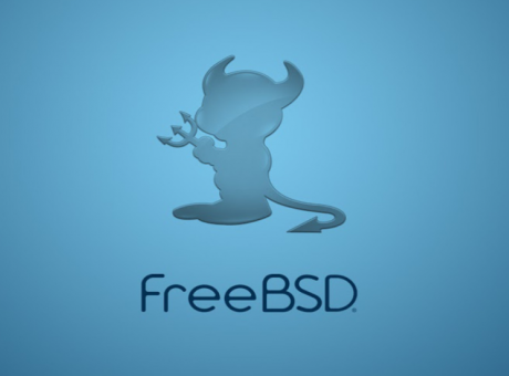 Formatejant un dispositiu USB en format FAT32 a FreeBSD