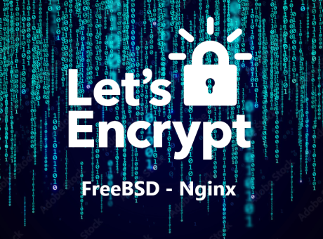 Renovant manualment un certificat SSL de Let's Encrypt a un servidor FreeBSD amb Nginx