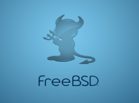 Realitzant una còpia de seguretat completa del servidor web FreeBSD 13