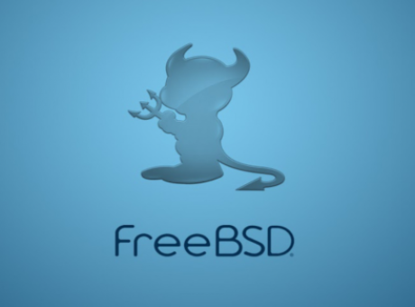 Configurant servidor FreeBSD 15 a la Raspberry Pi 4 com a servidor de projectes web